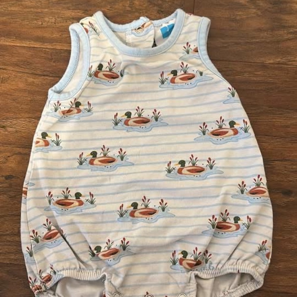 Sleeveless Light Blue Duck Pond Print Baby One-Piece Bodysuit